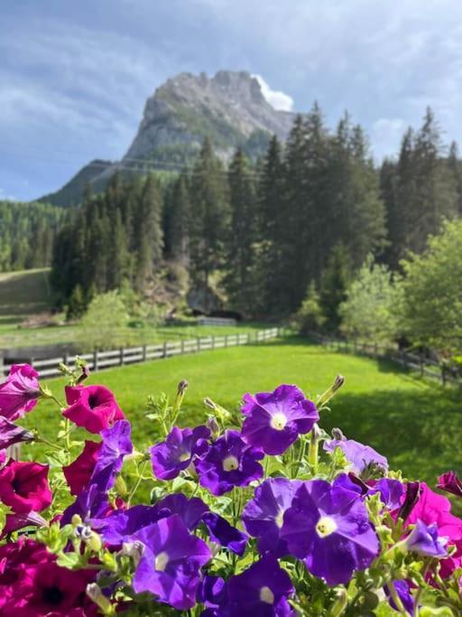 Апартаменты Sellaronda - Ciampac Experience Альба-ди-Канацеи Экстерьер фото