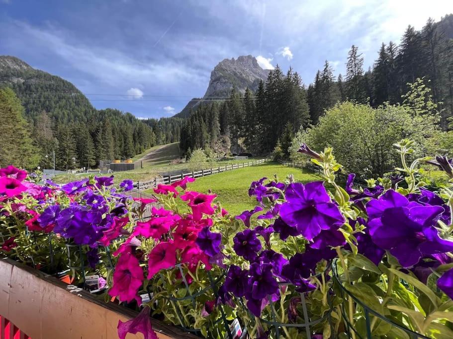 Апартаменты Sellaronda - Ciampac Experience Альба-ди-Канацеи Экстерьер фото