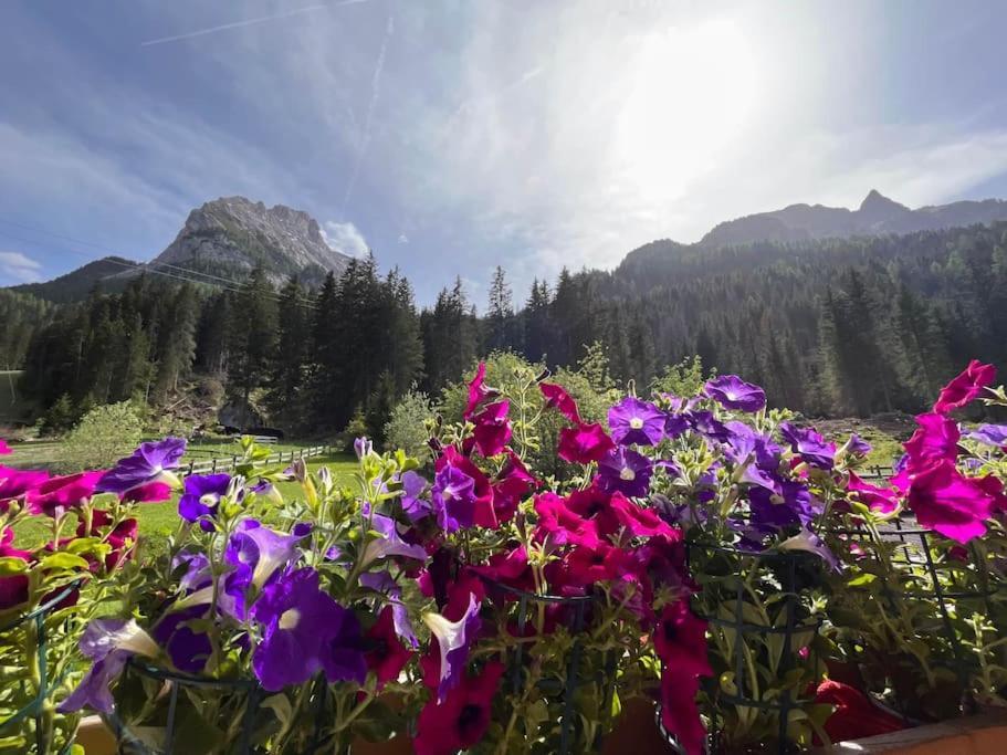Апартаменты Sellaronda - Ciampac Experience Альба-ди-Канацеи Экстерьер фото